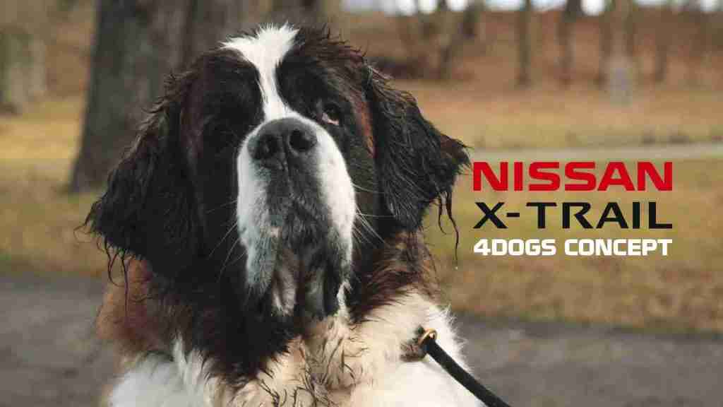 Nissan XTrail Viral Ad